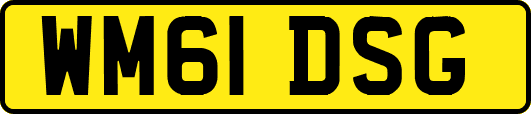 WM61DSG