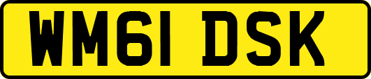 WM61DSK