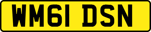 WM61DSN