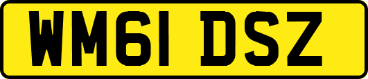 WM61DSZ