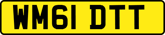 WM61DTT