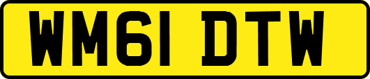 WM61DTW