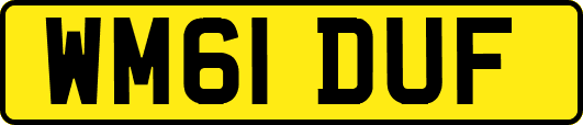 WM61DUF