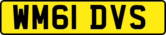 WM61DVS