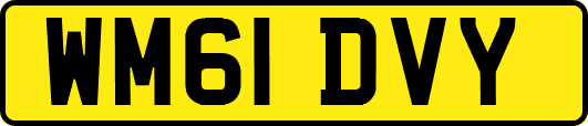 WM61DVY