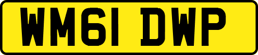 WM61DWP