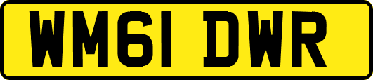 WM61DWR