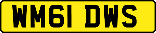 WM61DWS
