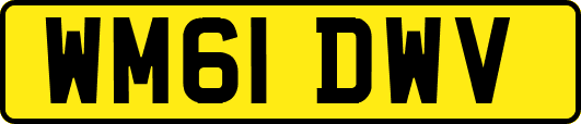 WM61DWV
