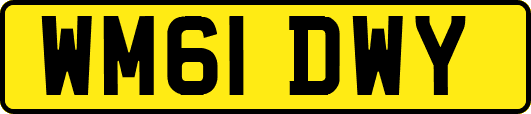 WM61DWY