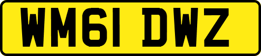 WM61DWZ