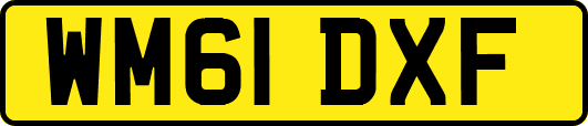 WM61DXF