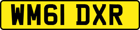 WM61DXR