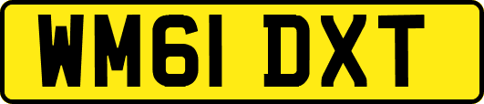 WM61DXT