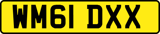WM61DXX