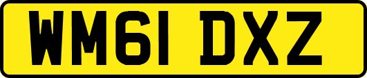WM61DXZ