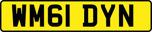 WM61DYN