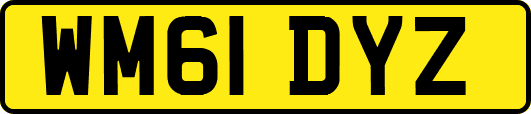 WM61DYZ