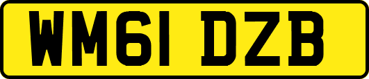 WM61DZB