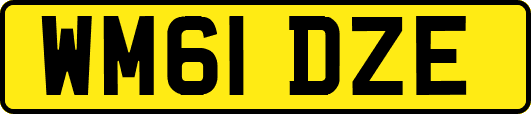 WM61DZE