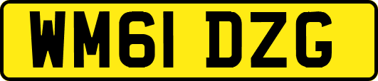 WM61DZG