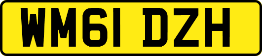 WM61DZH