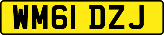 WM61DZJ