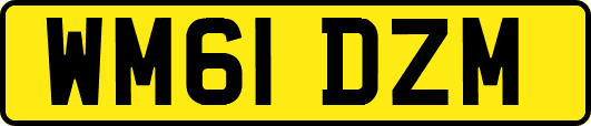 WM61DZM