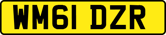 WM61DZR