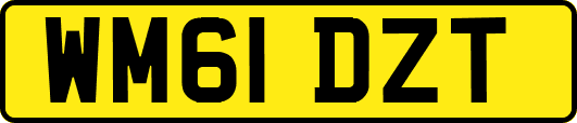 WM61DZT