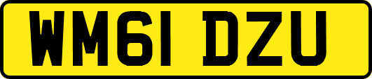 WM61DZU