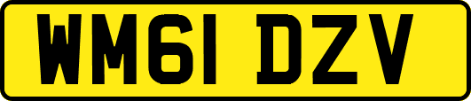 WM61DZV