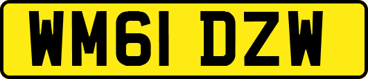 WM61DZW