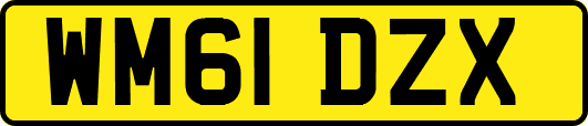 WM61DZX