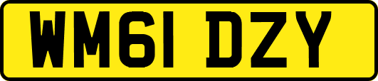 WM61DZY