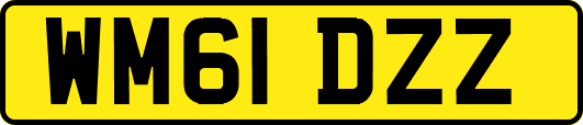 WM61DZZ