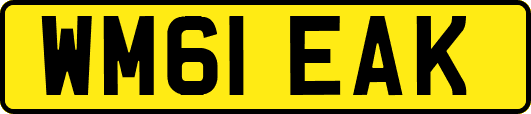 WM61EAK