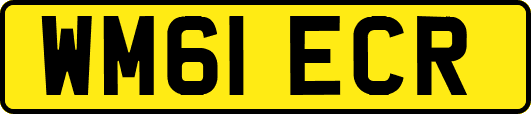 WM61ECR