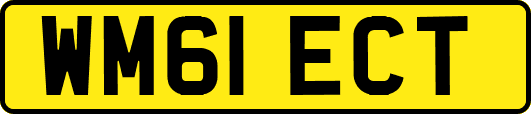 WM61ECT