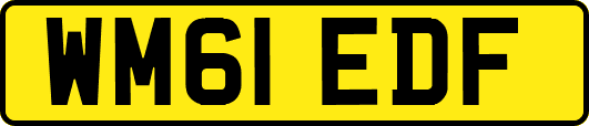 WM61EDF