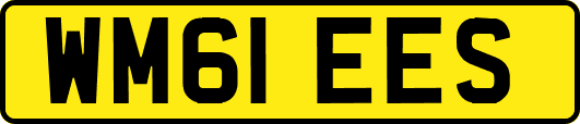 WM61EES
