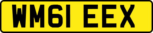 WM61EEX