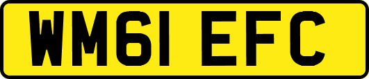 WM61EFC