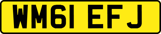 WM61EFJ