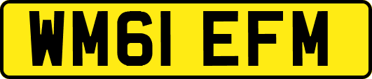 WM61EFM