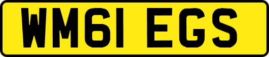 WM61EGS