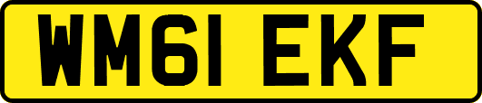 WM61EKF