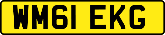 WM61EKG