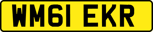 WM61EKR