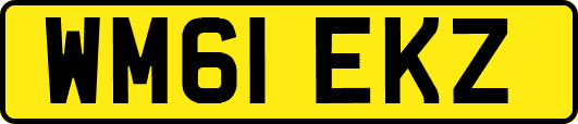WM61EKZ